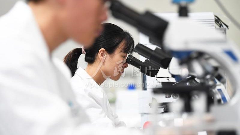 诊断试剂原料分类解析：揭秘背后的科学奥秘**