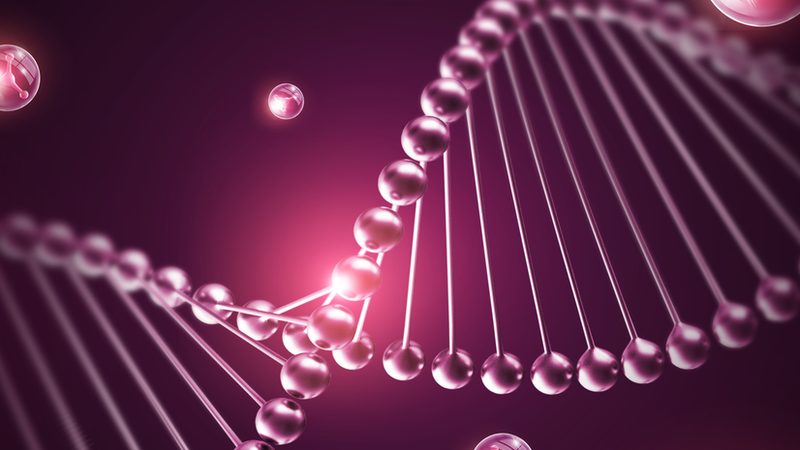 宠物疫苗抗体检测试剂盒：如何正确使用，保障宠物健康**