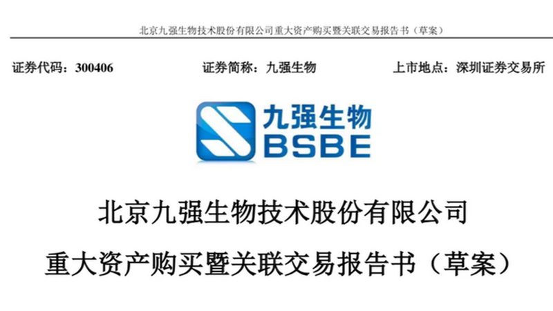 细胞工厂：揭秘其背后的生产力量与排名考量**