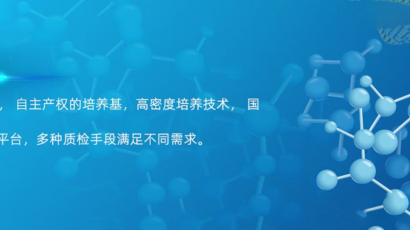 生物医药外包工艺流程分类解析