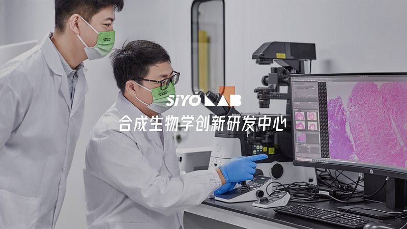 细胞工厂材质的抉择：如何权衡优缺点**