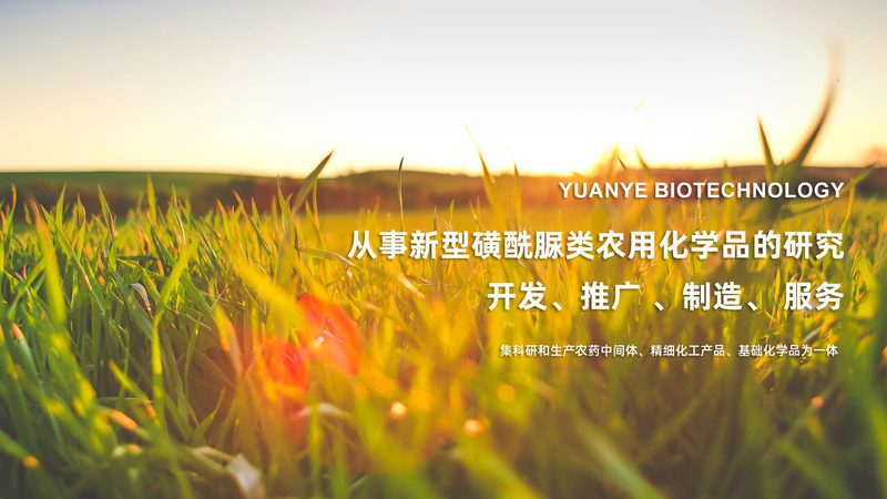 解码生物科技公司产品参数：优缺点分析与选型逻辑**
