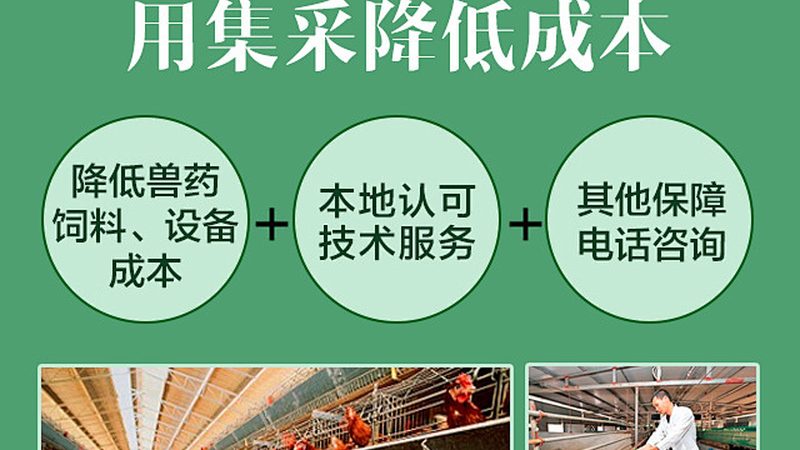 荧光定量PCR试剂盒：揭秘其背后的技术奥秘**