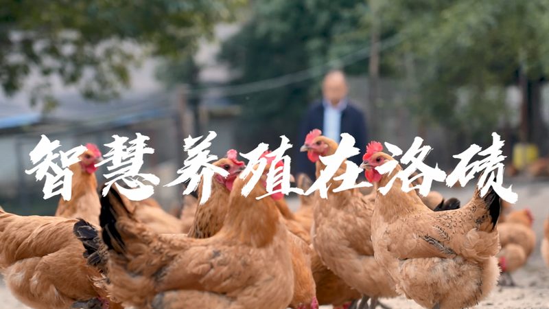 细胞工厂纯化操作：关键步骤与注意事项**