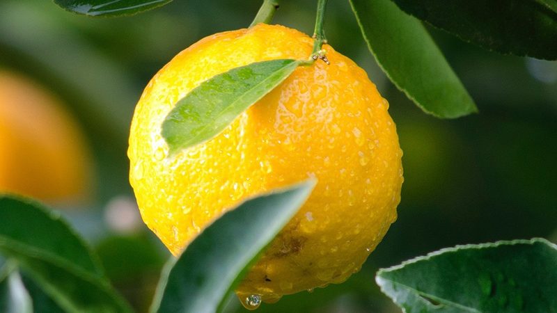 生物医药外包实验室资质有效期解析