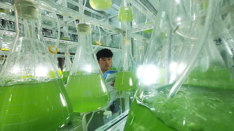 生物医药外包服务加盟，你准备好了吗？**